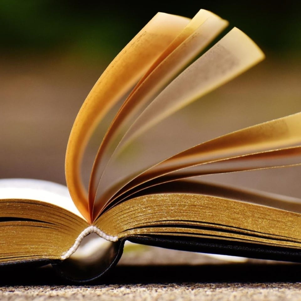 novel writing courses