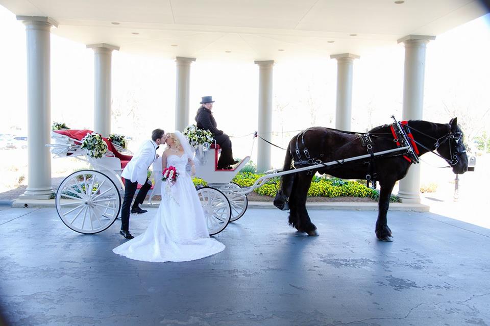 horse and carriage wedding hire